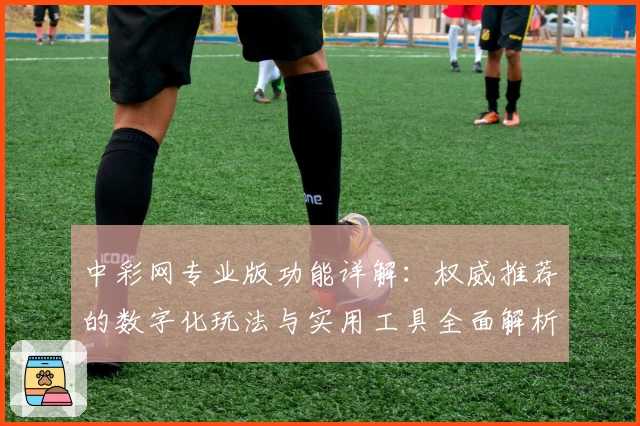 中彩网专业版功能详解:权威推荐的数字化玩法与实用工具全面解析