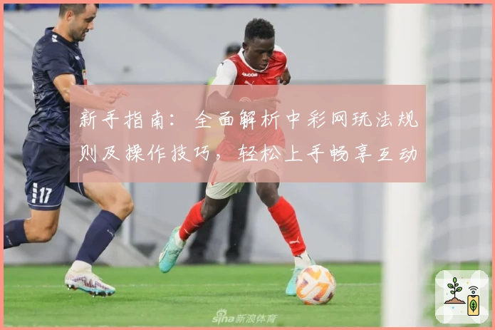 新手指南：全面解析中彩网玩法规则及操作技巧，轻松上手畅享互动体验