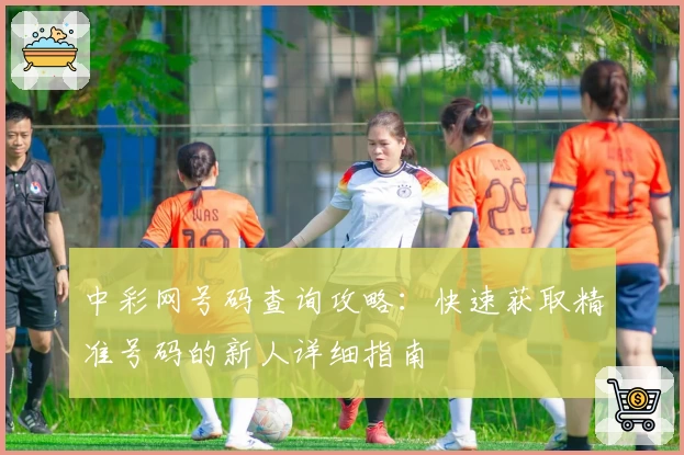 中彩网号码查询攻略:快速获取精准号码的新人详细指南