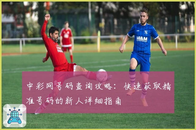 中彩网号码查询攻略：快速获取精准号码的新人详细指南