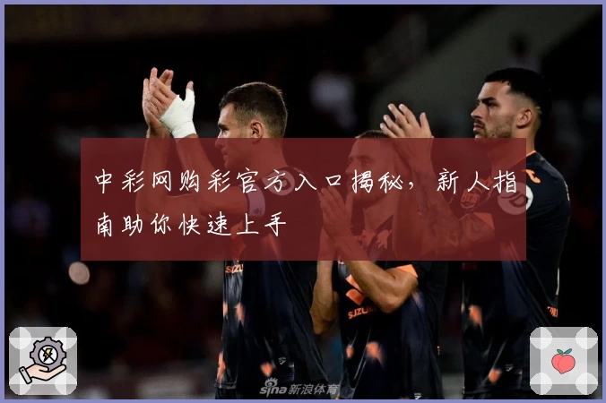 中彩网购彩官方入口揭秘，新人指南助你快速上手